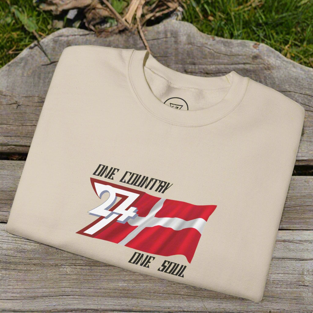 Denmark flag sweatshirt with unique illustration on chest