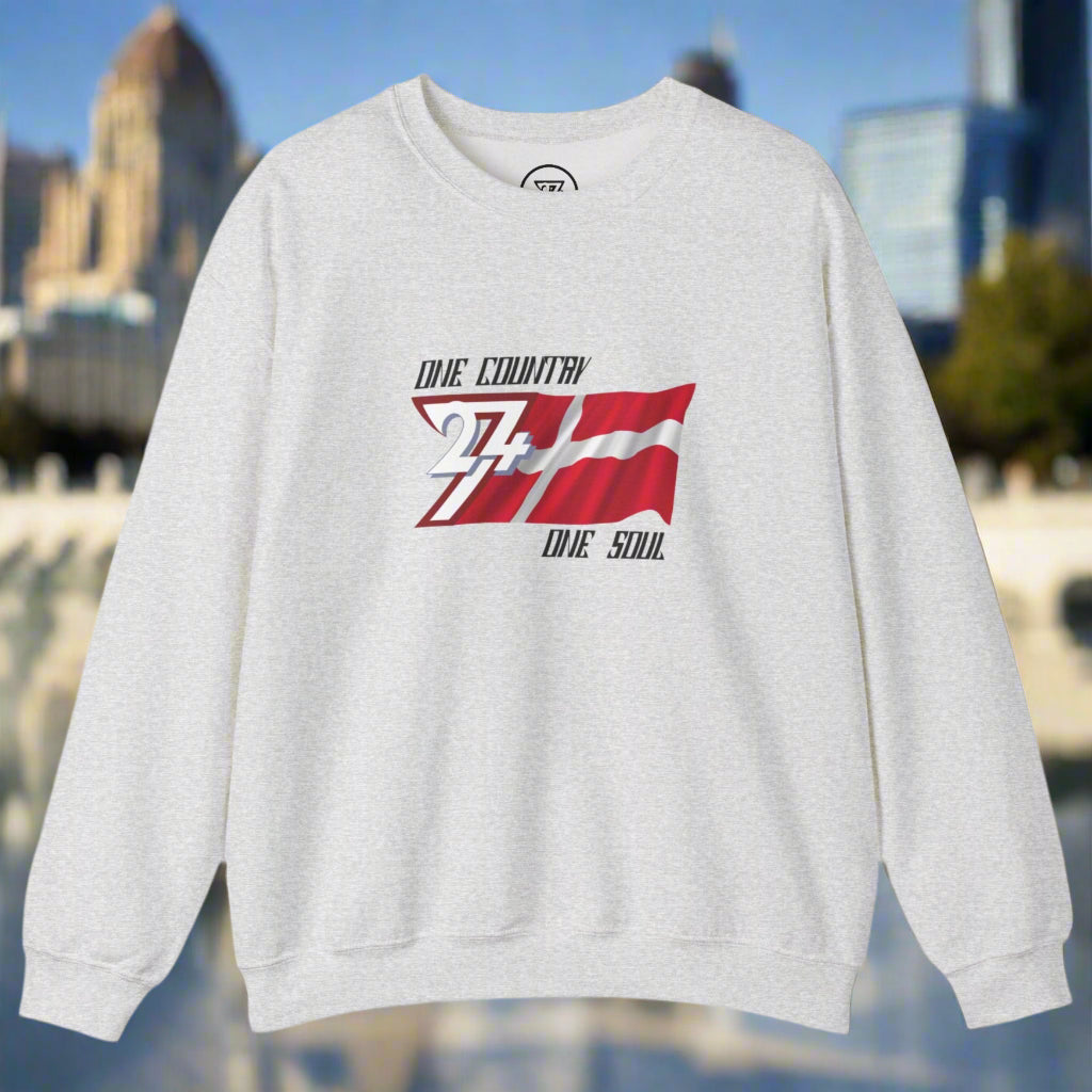 Unique Design Denmark sweatshirt perfect gift