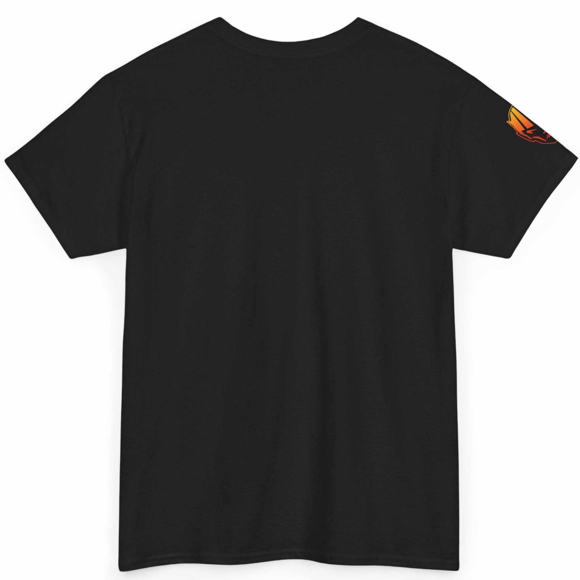 Back view of the black classic unisex fit custom printed IT professional tee.